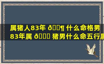 属猪人83年 🐶 什么命格男「83年属 🍀 猪男什么命五行属什么」